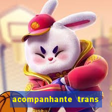 acompanhante trans em santos